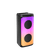 Karaoke Machine, Portable Bluetooth Karaoke Speaker with 1 Wired Microphones for Adults Kids with LED Lights, Supports AUX/USB/TF for Home Party Cowinaudio 